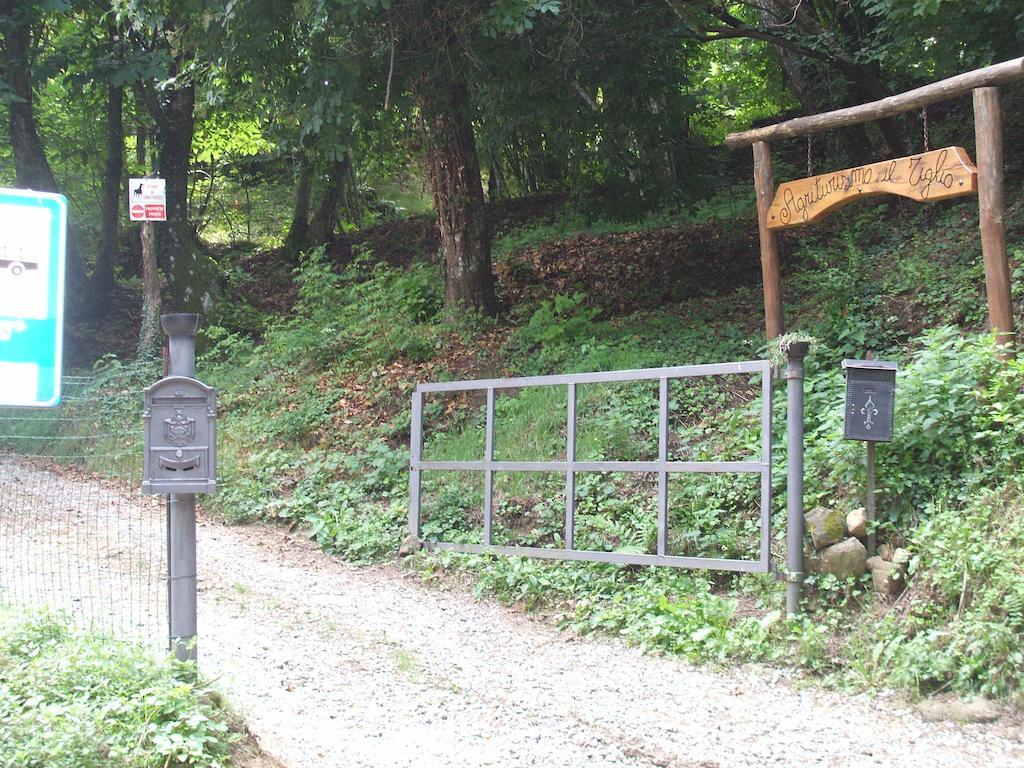 Agriturismo Il Tiglio Coreglia Antelminelli エクステリア 写真